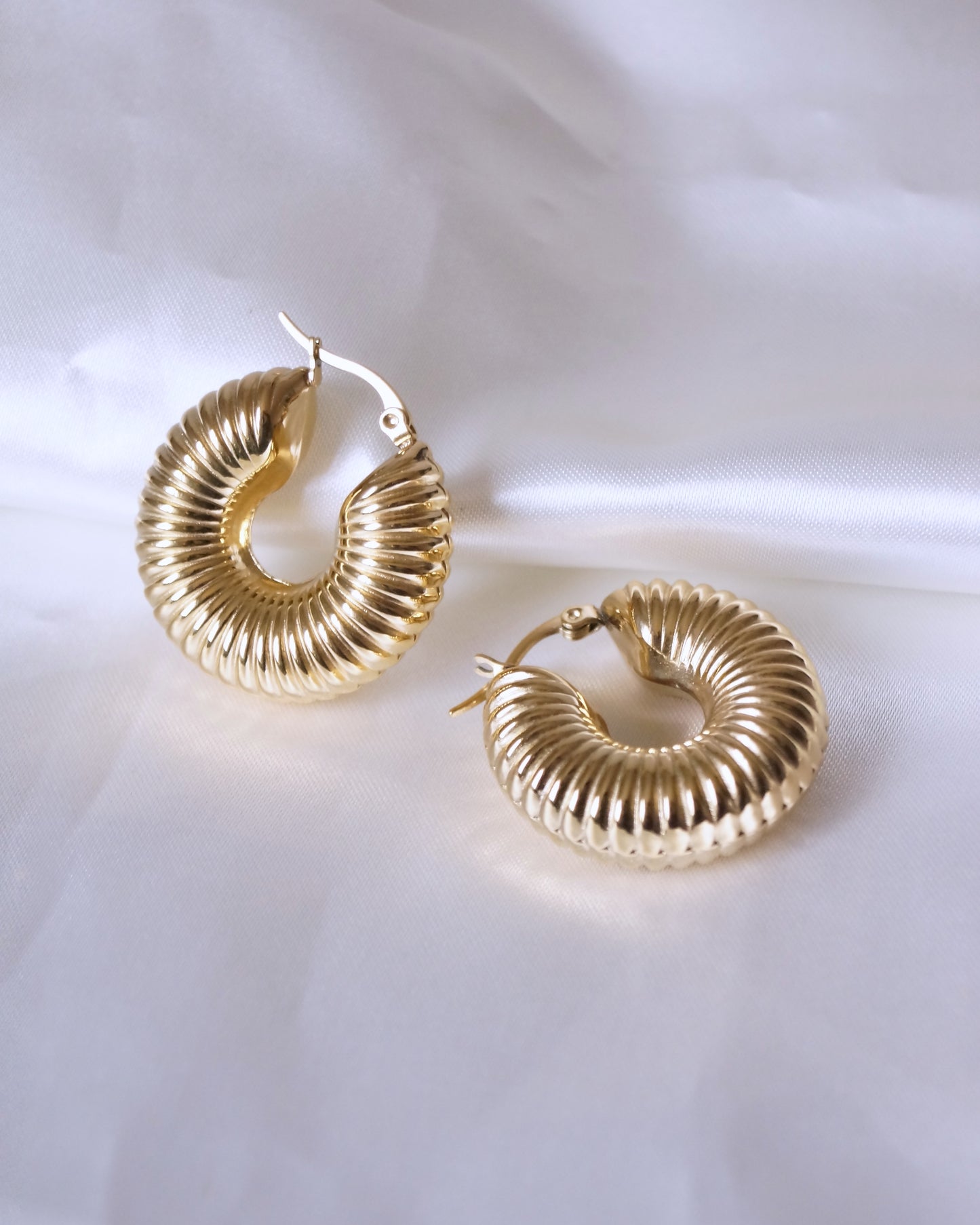 Boucles d'oreilles "DOLE"