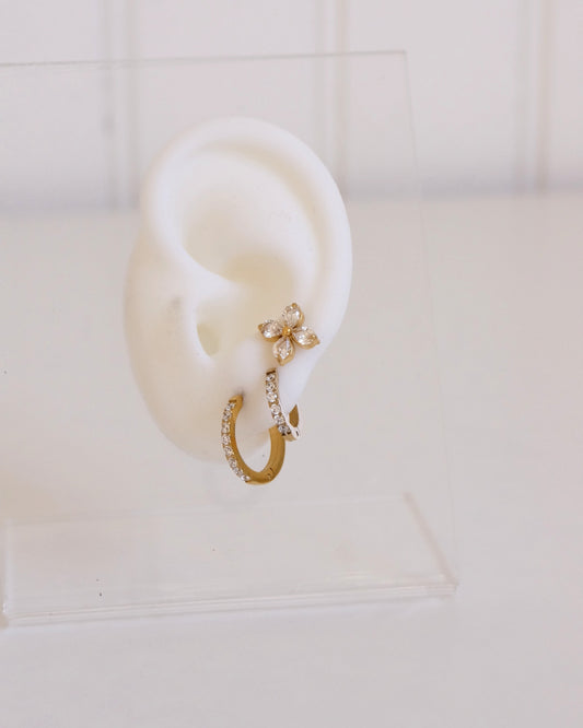 Compo "ECLATANTE" [3 trous]