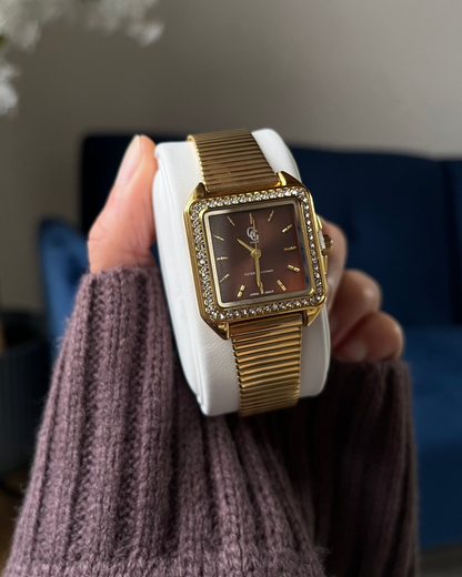 Montre "MONACO" · Moka