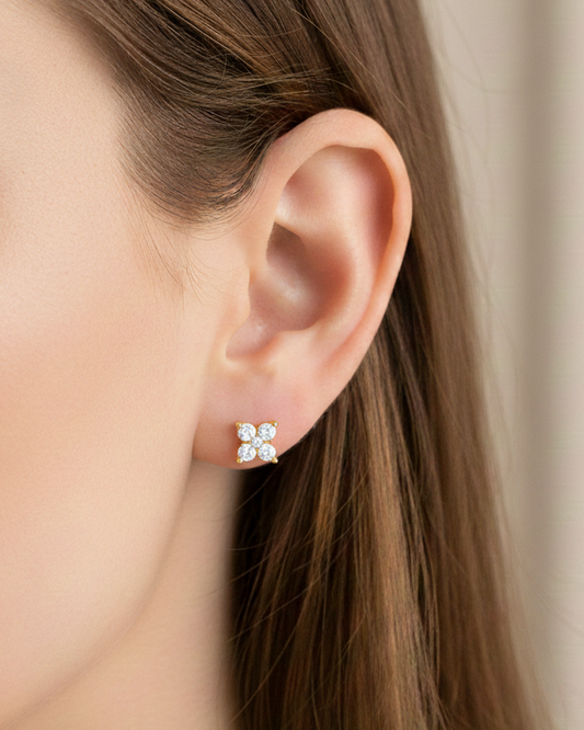 Boucles d'oreilles "PRECIEUSE"